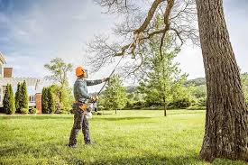 Why Choose Our Tree Removal Services in Taylor, AL?